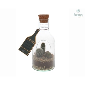 Green Bottle Fles XSmall met Cactussen