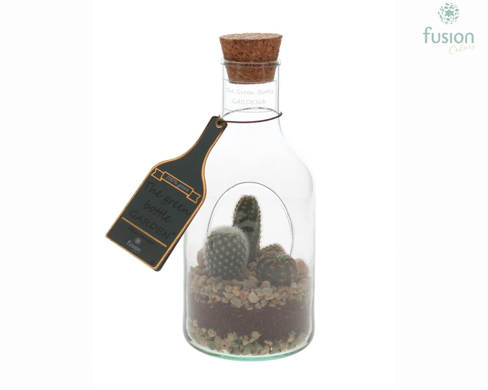 <h4>Green Bottle Fles XSmall met Cactussen</h4>
