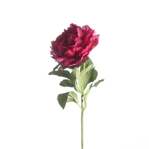 AF Peony Recycled L65cm Bea