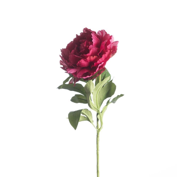 <h4>AF Paeonia Recycled L65cm Bea</h4>