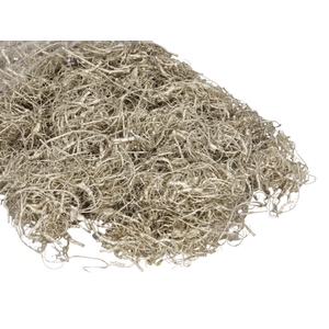 CURLY MOSS 250GR PLATINUM