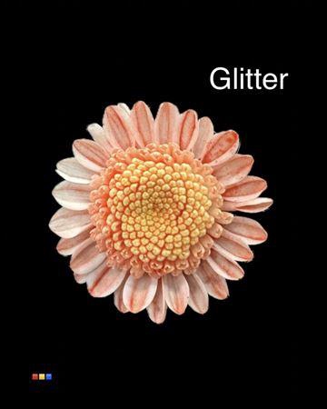 <h4>Chr T Stallion Dusty Red + Glit Bio</h4>