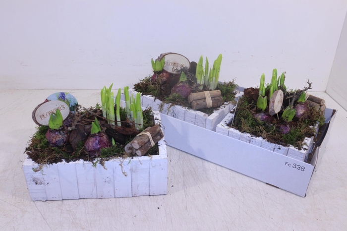 <h4>ARR BOL KNOLGEWAS</h4>