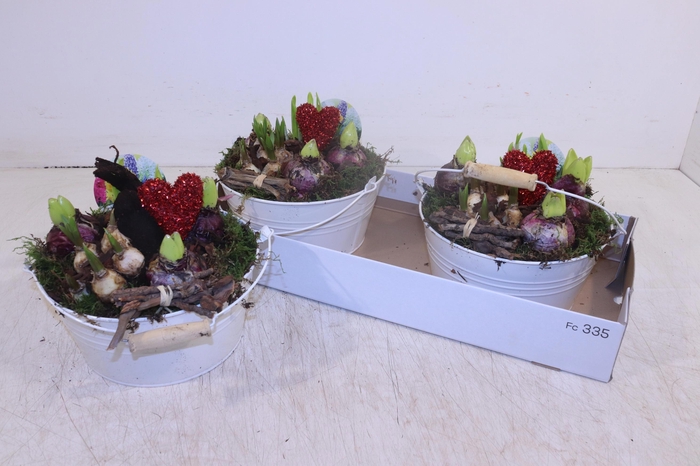 <h4>ARR BOL KNOLGEWAS</h4>