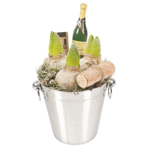 PTHN7203 ARRANGEMENT NEW YEAR IN CH