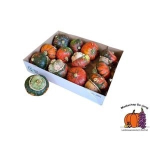 <h4>CUC TURKS TURBAN MIX</h4>