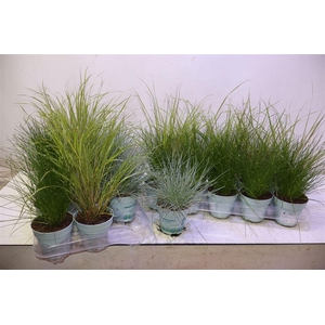 Sierg Gem 3 Srt Fust