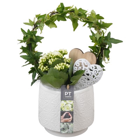 <h4>PTVMB4729 Arrangementen kamerplanten</h4>