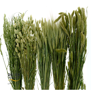Dried Wheat Mix