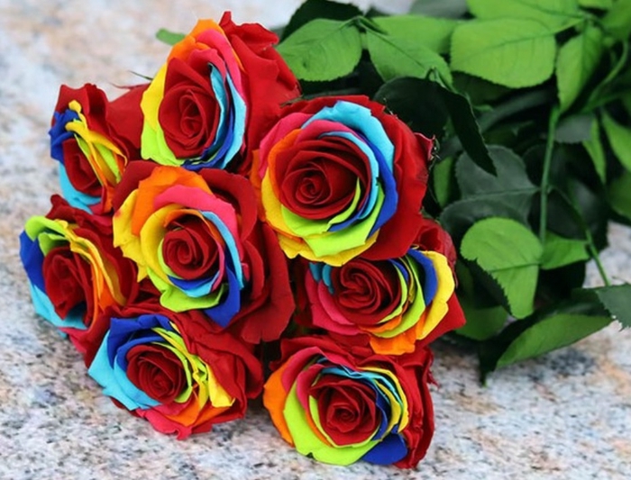 <h4>Roos op steel stand. Rainbow</h4>