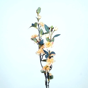 AF Blossom L90cm peach