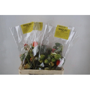 Papaver Mixed Extra P Stem