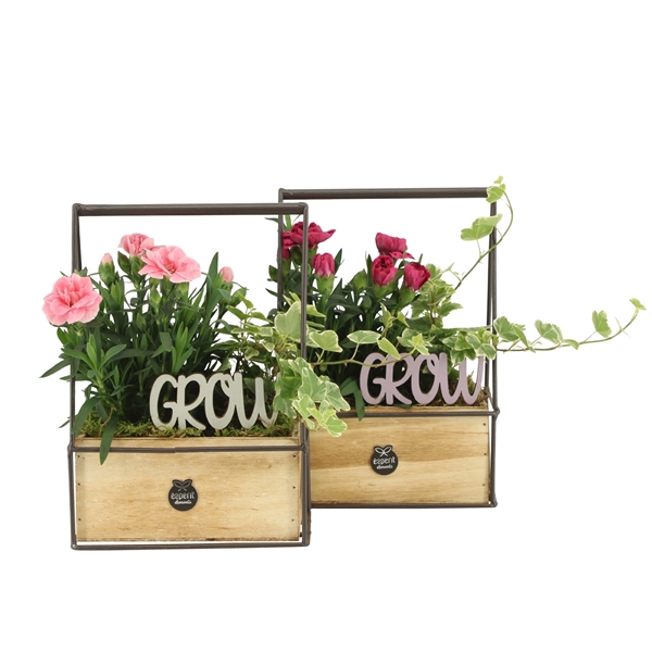 <h4>31657: Outdoor summer arrangement</h4>