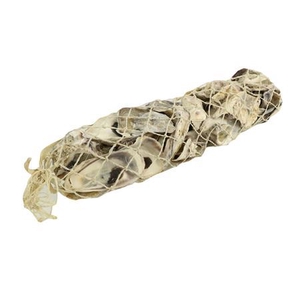 Shell Talaba Oyster L30