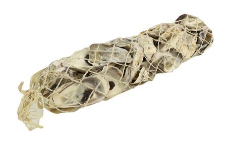 <h4>Shell Talaba Oyster L30</h4>