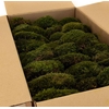 Mood Moss Gepreserveerd ca. 0,2 m2