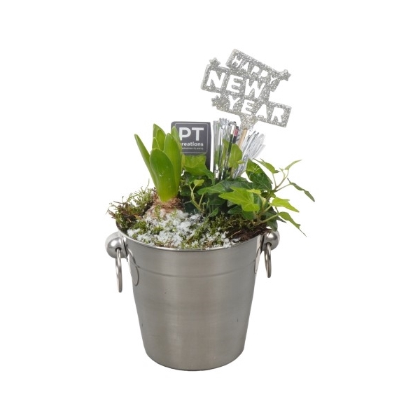 <h4>PTON5105 Arrangement New Year in metaal emmer</h4>