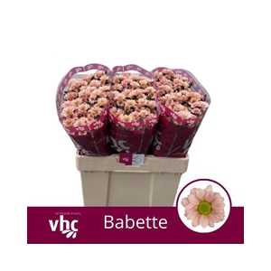 CHR SAN BABETTE
