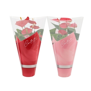 Anthurium 12 cm Red & Pink mix in Couture sleeve