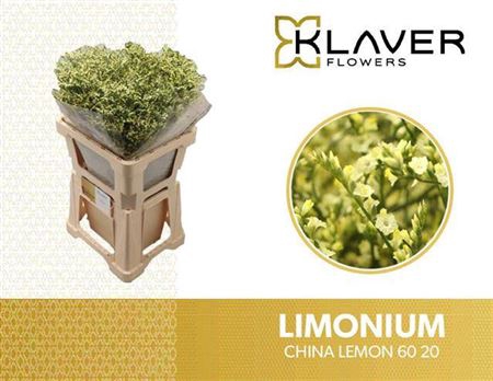 <h4>Lim Sin China Lemon</h4>