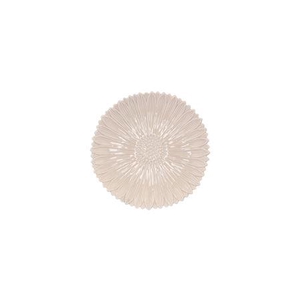 Bloom Daisy Plate Grey/blue 11x11x2cm Nm