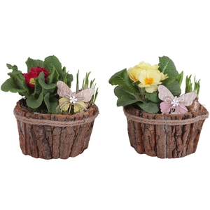 Arr.   Tuinplanten L%