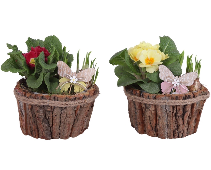 <h4>Arr.   Tuinplanten L%</h4>