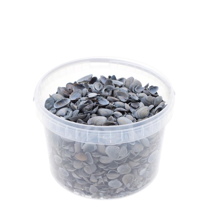 <h4>Schelpen North Sea emmer 3L</h4>