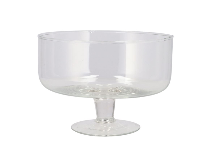 <h4>Glass Coupe 19x13cm</h4>