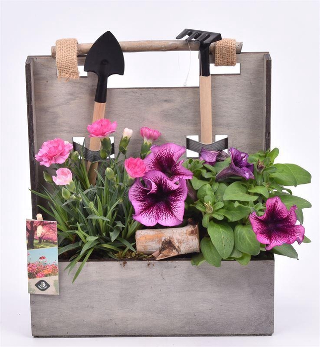 <h4>Houten tuinset 24x10cm</h4>