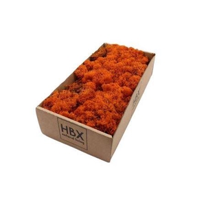 Moss Reindeer Moss 500gr Orange
