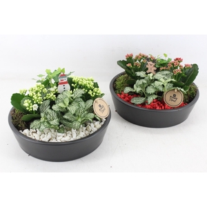 arr2 PL - Glas schaal 27cm - rood/wit