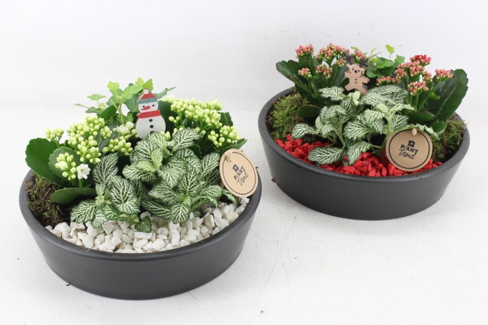 <h4>arr2 PL - Glas schaal 27cm - rood/wit</h4>