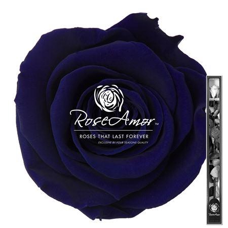 <h4>60cm Stem Blu03</h4>