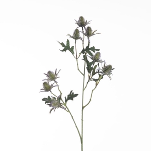 AF Eryngium x8 L69cm Purple