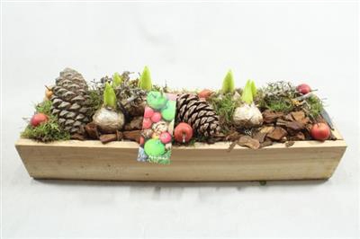 <h4>HY242 XL BALK 6 HYAC</h4>