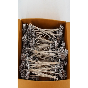 Stick Pine Cone White Tipped