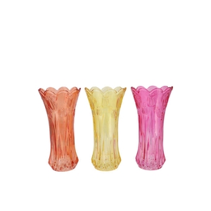 Delight Dutch Orange Mix Vase Tulip Ass 11x20cm