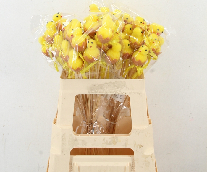 <h4>HUIS EN TUINDECO H%</h4>