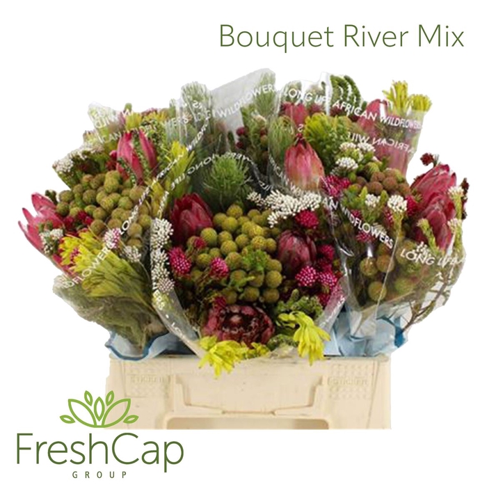 <h4>Bouquet River Mix</h4>