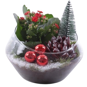 Christmas Arr. Indoor Glass Oblique UFO Vase Ø20cm 2PP