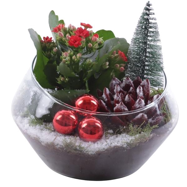 <h4>Christmas Arr. Indoor Glass Oblique UFO Vase Ø20cm 2PP</h4>