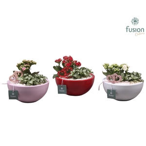Keramiek moon 3 assortiment met arrangement D18 H36