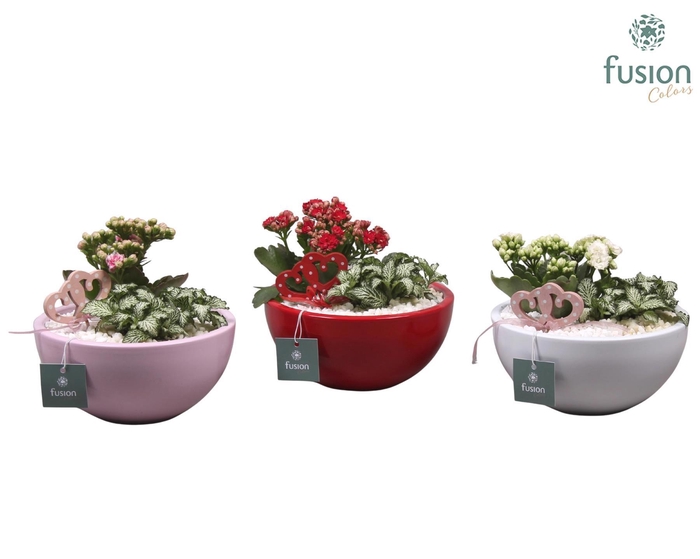 <h4>Keramiek moon 3 assortiment met arrangement D18 H36</h4>