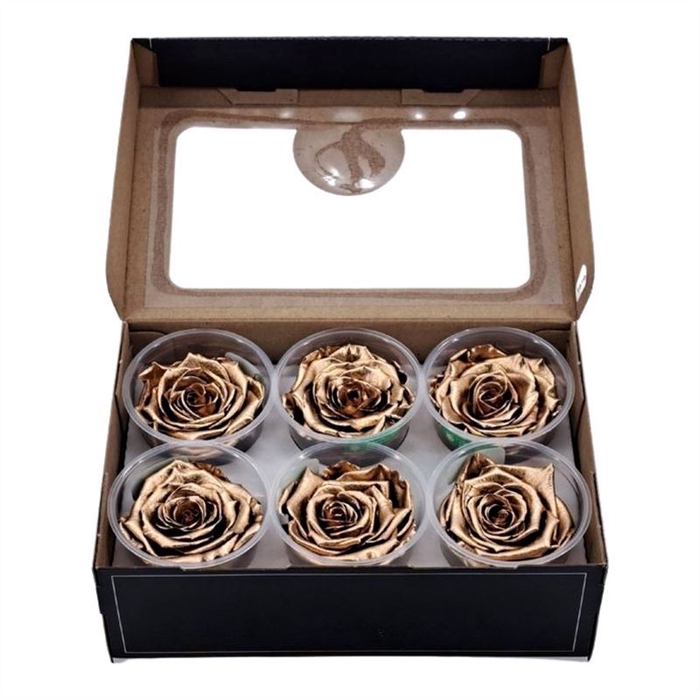 <h4>Rosa Preserved Ll Metallic Gold</h4>