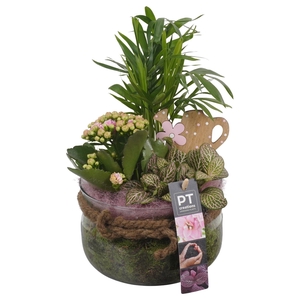 Arr.   Planten L%