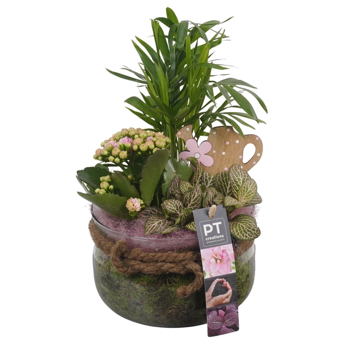 <h4>Arr.   Planten L%</h4>