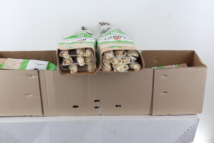 <h4>R Gr Vendela 60cm Box Fu</h4>