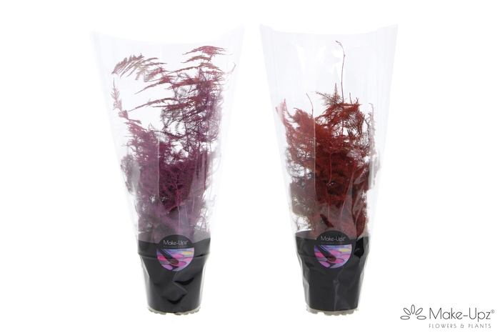 <h4>Asp Make-Upz Show Mix Pink en Red</h4>