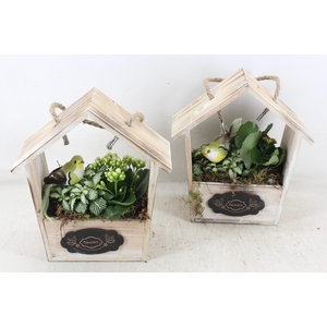arr2 TD - Hout huis puntdak - roze/wit